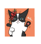 猫絵師まなこの気まぐれ猫スタンプ2（個別スタンプ：16）
