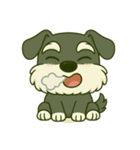 ERIMINTOでか顔シュナウザーver.（個別スタンプ：19）