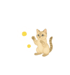 愛猫スタンプ〜いつも一緒！〜（個別スタンプ：15）