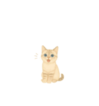 愛猫スタンプ〜いつも一緒！〜（個別スタンプ：17）
