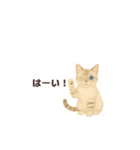 愛猫スタンプ〜いつも一緒！〜（個別スタンプ：18）