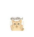 愛猫スタンプ〜いつも一緒！〜（個別スタンプ：21）