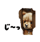 便利な動物日常スタンプ♡（個別スタンプ：2）