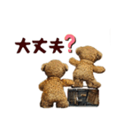 便利な動物日常スタンプ♡（個別スタンプ：25）