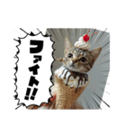サバくんの日常2（個別スタンプ：1）