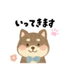柴犬 黒柴きのこの日常17 イラスト編（個別スタンプ：3）