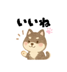 柴犬 黒柴きのこの日常17 イラスト編（個別スタンプ：4）