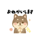 柴犬 黒柴きのこの日常17 イラスト編（個別スタンプ：5）