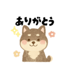 柴犬 黒柴きのこの日常17 イラスト編（個別スタンプ：6）