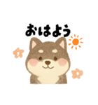 柴犬 黒柴きのこの日常17 イラスト編（個別スタンプ：7）