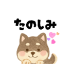 柴犬 黒柴きのこの日常17 イラスト編（個別スタンプ：9）
