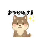 柴犬 黒柴きのこの日常17 イラスト編（個別スタンプ：15）