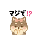 柴犬 黒柴きのこの日常17 イラスト編（個別スタンプ：16）