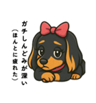 【ギャル語】可愛いギャル・ダックスフンド（個別スタンプ：19）