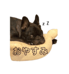 おおきな川に住んでる方々（個別スタンプ：2）