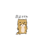 やる気をなくしたチベットスナギツネたち（個別スタンプ：1）