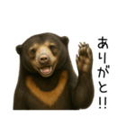 大好きマレーグマ☆文字あり（個別スタンプ：1）