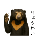 大好きマレーグマ☆文字あり（個別スタンプ：2）