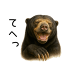 大好きマレーグマ☆文字あり（個別スタンプ：4）