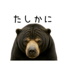 大好きマレーグマ☆文字あり（個別スタンプ：6）