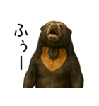 大好きマレーグマ☆文字あり（個別スタンプ：7）