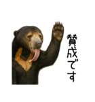 大好きマレーグマ☆文字あり（個別スタンプ：9）