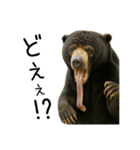 大好きマレーグマ☆文字あり（個別スタンプ：12）