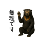 大好きマレーグマ☆文字あり（個別スタンプ：16）
