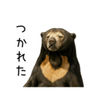 大好きマレーグマ☆文字あり（個別スタンプ：22）
