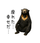 大好きマレーグマ☆文字あり（個別スタンプ：23）