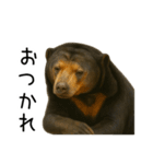 大好きマレーグマ☆文字あり（個別スタンプ：24）