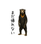 大好きマレーグマ☆文字あり（個別スタンプ：26）