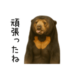 大好きマレーグマ☆文字あり（個別スタンプ：28）