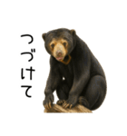大好きマレーグマ☆文字あり（個別スタンプ：31）