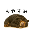 大好きマレーグマ☆文字あり（個別スタンプ：40）