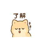 ポメラニアンのポメちゃん挨拶スタンプ（個別スタンプ：2）