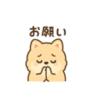 ポメラニアンのポメちゃん挨拶スタンプ（個別スタンプ：4）