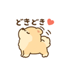 ポメラニアンのポメちゃん挨拶スタンプ（個別スタンプ：5）