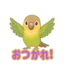 ウロコインコ界隈で流行りのスタンプその壱（個別スタンプ：2）