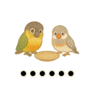 ウロコインコ界隈で流行りのスタンプその壱（個別スタンプ：6）