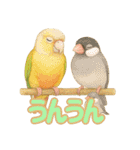 ウロコインコ界隈で流行りのスタンプその壱（個別スタンプ：9）