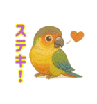 ウロコインコ界隈で流行りのスタンプその壱（個別スタンプ：14）