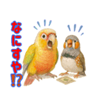 ウロコインコ界隈で流行りのスタンプその壱（個別スタンプ：15）