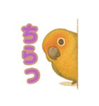 ウロコインコ界隈で流行りのスタンプその壱（個別スタンプ：17）