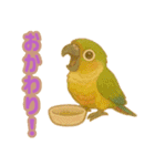 ウロコインコ界隈で流行りのスタンプその壱（個別スタンプ：18）