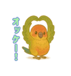 ウロコインコ界隈で流行りのスタンプその壱（個別スタンプ：22）