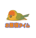 ウロコインコ界隈で流行りのスタンプその壱（個別スタンプ：23）