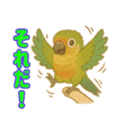 ウロコインコ界隈で流行りのスタンプその壱（個別スタンプ：25）