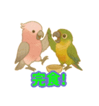ウロコインコ界隈で流行りのスタンプその壱（個別スタンプ：27）