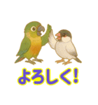 ウロコインコ界隈で流行りのスタンプその壱（個別スタンプ：28）